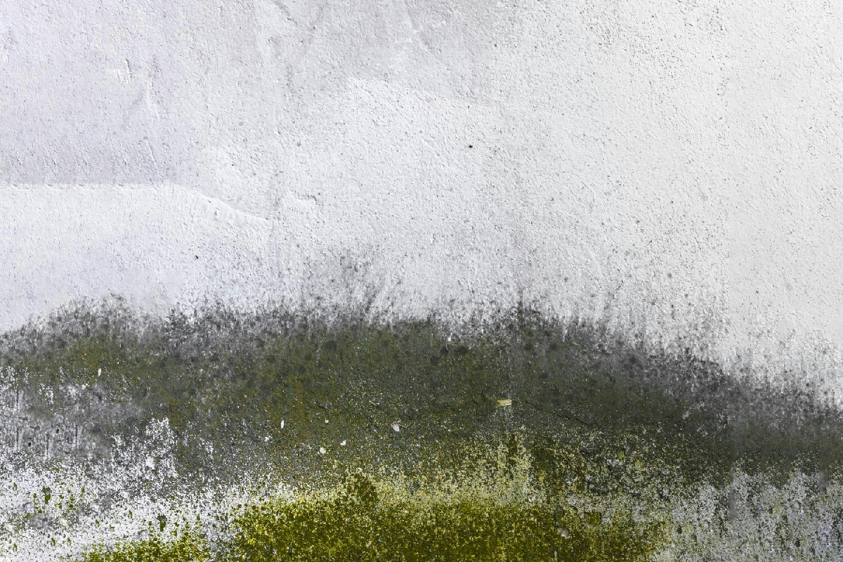 Perché evitare di posizionare il letto contro un muro umido per migliorare il riposo in casa